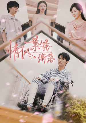 情似繁花渐落（62集）热门短剧在线看