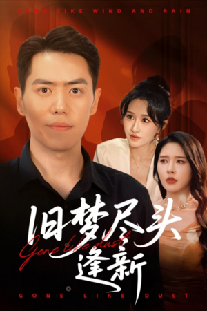 旧梦尽头逢新（46集）哪个网站可以看