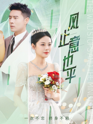 风止意也平（41集）热门短剧榜单