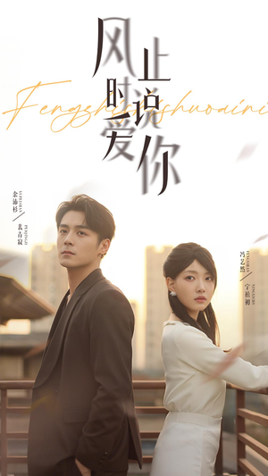 风止时说爱你（70集）温柔追捕短剧