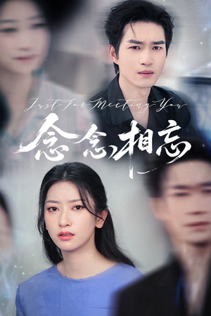 念念相忘（57集）精彩短剧热播