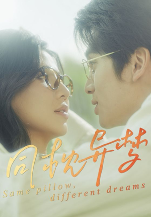 同枕异梦（50集）短剧后续更精彩