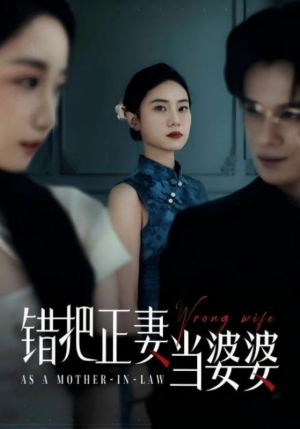 错把正妻当婆婆（46集）一个短剧看全集