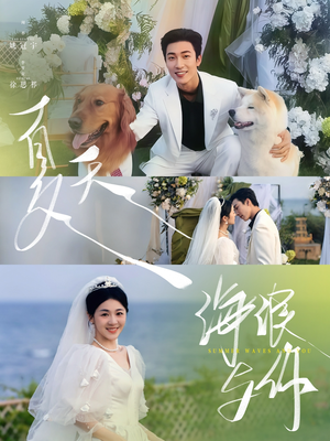 夏天，海浪与你（76集）短剧全集免费看