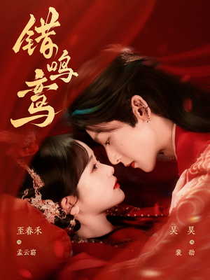 错鸣鸾（75集）分享好看短剧