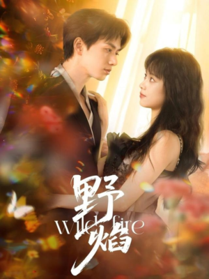 野焰（60集）短剧在哪里看