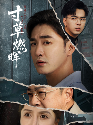 寸草燃晖（70集）男频短剧推荐