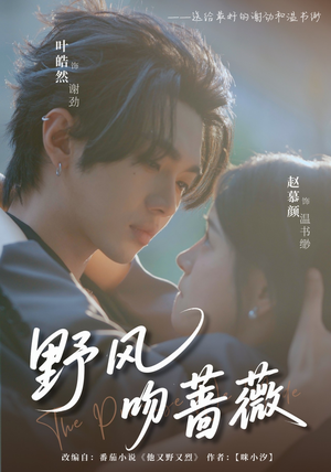 野风吻蔷薇（78集）网络小短剧