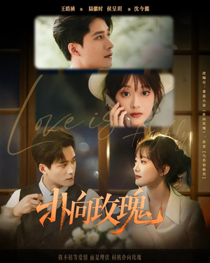 扑向玫瑰（77集）最新短剧推荐