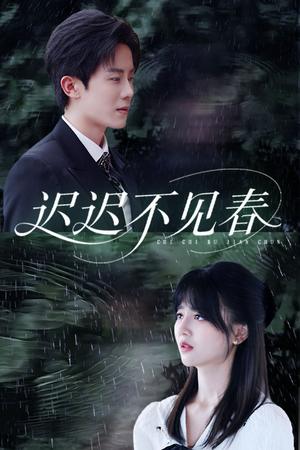 迟迟不见春（83集）热门短剧推广