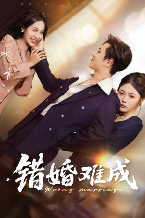 错婚难成（45集）口碑之选免费看