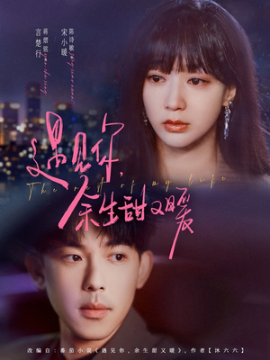 遇见你余生甜又暖（70集）最火短剧推荐