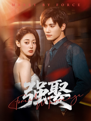 强娶（80集）不用花钱看全剧