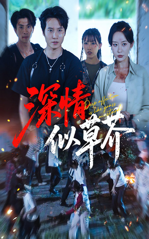 深情似草芥（51集）热门短剧大全