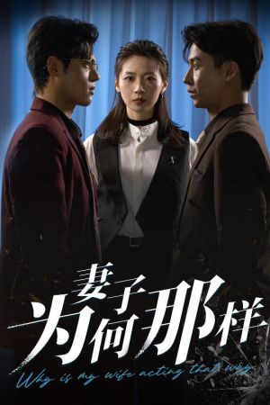 妻子为何那样（60集）女频短剧推荐