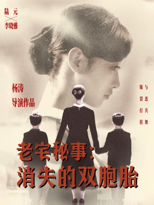老宅秘事消失的双胞胎（90集）短剧精彩绝伦