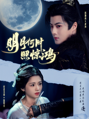 明月何时照惊鸿（80集）全集一次看完