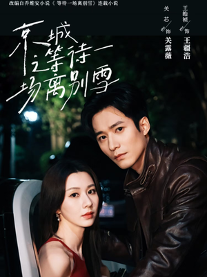 京城之等待一场离别雪（42集）红果短剧看全集