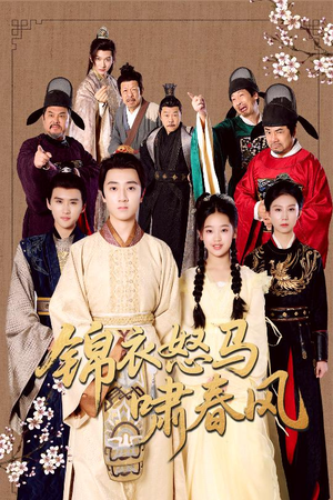 锦衣怒马啸春风（62集）经典老剧免费看