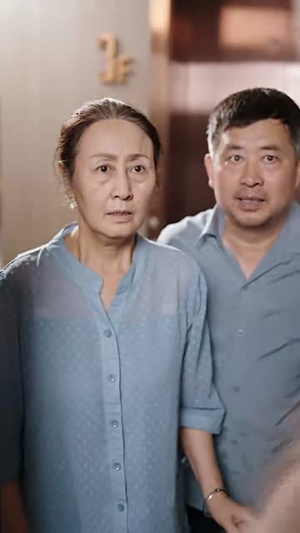 结婚当天我被妻子告上法庭（30集）免费观看全集