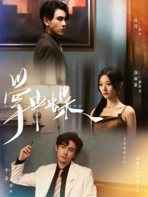 掌中蝶（84集）一口气看完