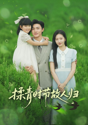 揉青时节故人归（60集）免费观看完整版