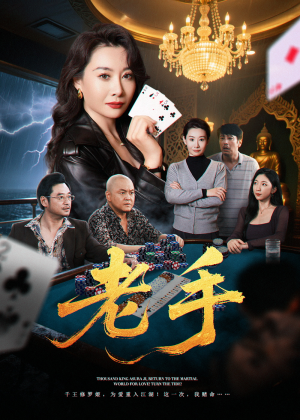 老手（36集）精彩好看短剧