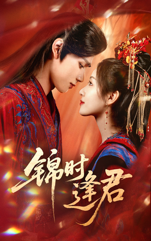 锦时逢君（55集）短剧全集免费看