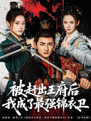 被赶出王府后我成了最强锦衣卫（80集）精彩短剧看不停