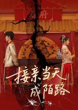 接亲当天成陌路（50集）短剧介绍