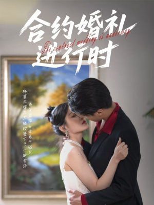 合约婚礼进行时（30集）高清无码免费看