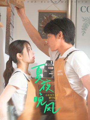 夏夜晚风（12集）短剧在线更新