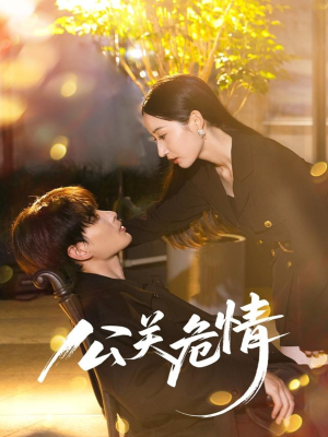 公关危情(60集) 公关危情(60集)高清无码免费看