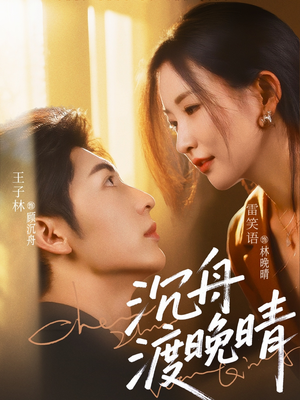 沉舟渡晚晴（80集）经典老剧免费看