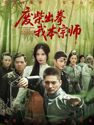 废柴出拳我本宗师（61集）在哪个平台看好