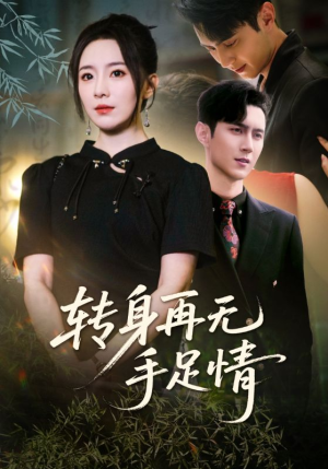 转身再无手足情（71集）免费观看