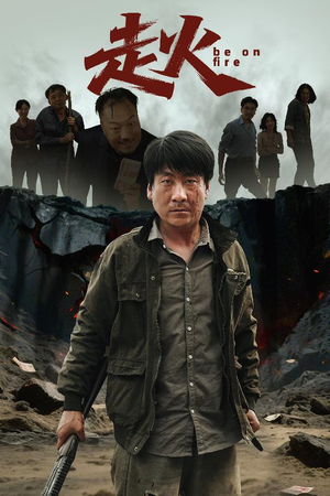 走火（60集）最新火爆短剧