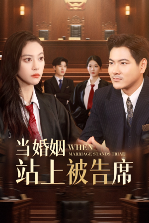 当婚姻站上被告席（30集）免费在线看全集
