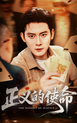 正义的使命（50集）免费观看