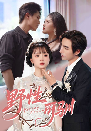 野性可驯（63集）火爆短剧来袭