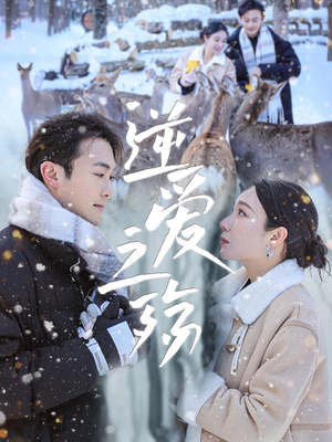 逆爱之殇（60集）热门短剧看不停