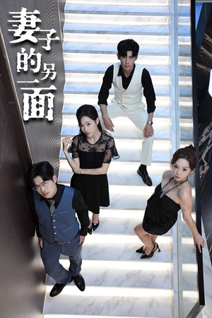 妻子的另一面（62集）百度网盘资源