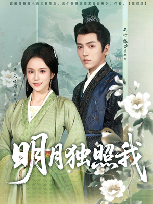 明月独照我（80集）爆款短剧追不停