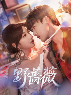 野蔷薇（60集）原创精彩短剧