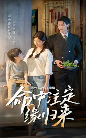 命中注定缘归来（63集）免费观看