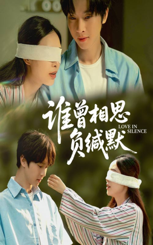 谁曾相思负缄默（50集）评价怎么样