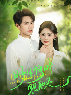 明月何时照他还（73集）最新热门短剧