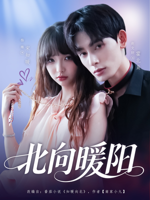 北向暖阳（80集）最新火爆短剧