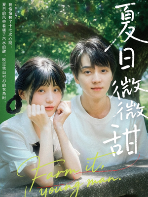 夏日微微甜（79集）好看的短剧
