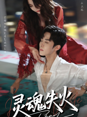 灵魂失火（72集）评价怎么样